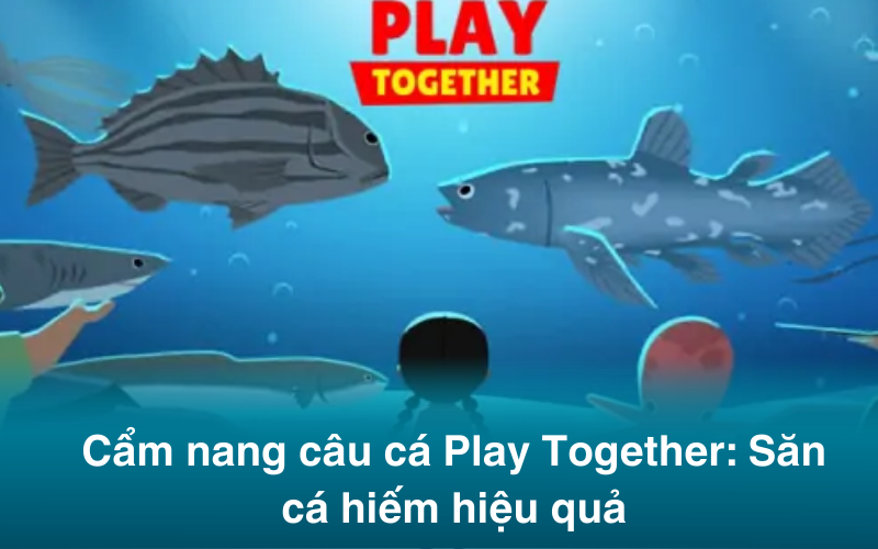Cẩm nang câu cá trong Play Together: Phương pháp săn cá hiếm hiệu quả